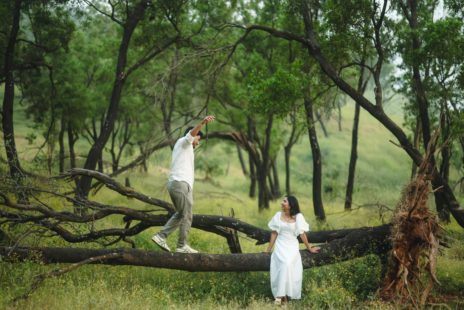 A playful moment amongst the trees